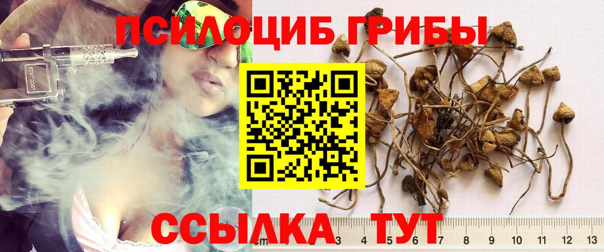 Галлюциногенные грибы GOLDEN TEACHER Новочеркасск