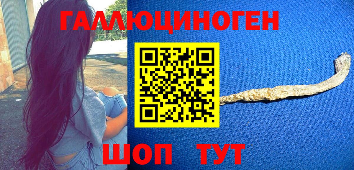 Новочеркасск  Псилоцибиновые грибы GOLDEN TEACHER  Вход с VPN 